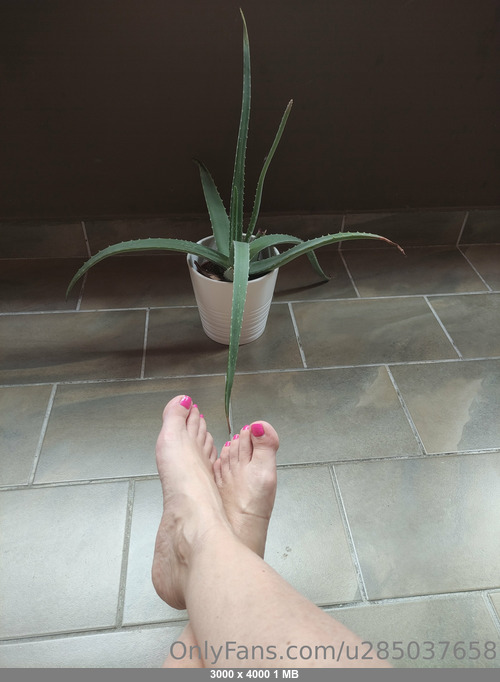 Aishaforever 16072025 - Aishaforever  Creatore�� ������ - Onlyfans SiteRip