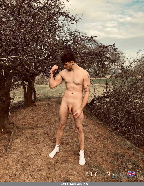Alfienorthfree 10102025 - Alfienorth - Onlyfans SiteRip
