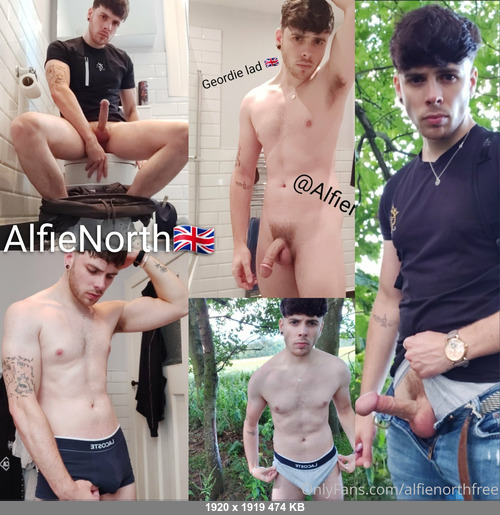 Alfienorthfree 25102025 - Alfienorth - Onlyfans SiteRip