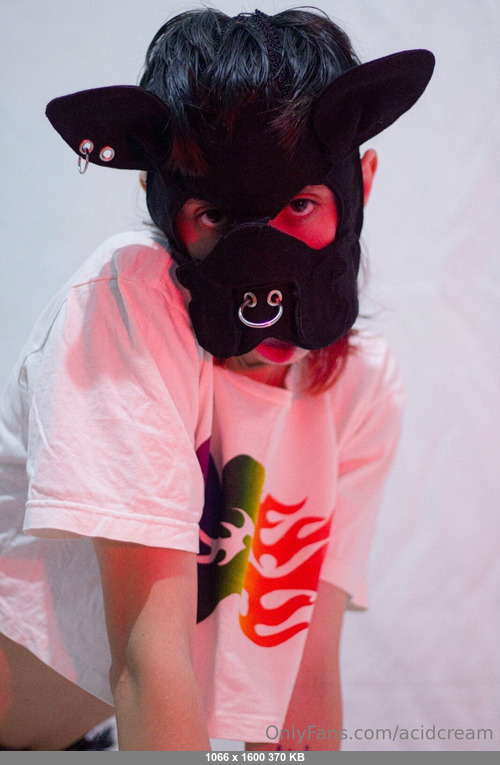 Acidcream 11022026 - Toyverde🐶 - Onlyfans SiteRip