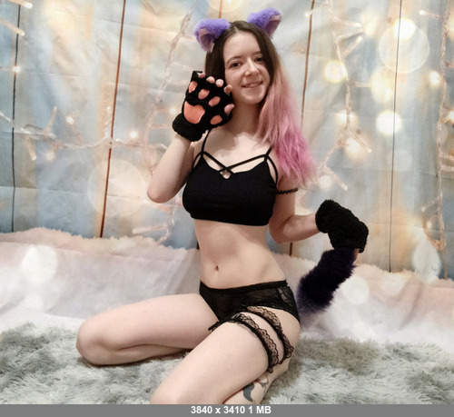 Akitacatlady 11022026 - Akita - Cat Lady - Onlyfans SiteRip