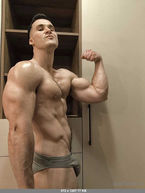 Alfienorthfree 29032026 - Alfienorth - Onlyfans SiteRip