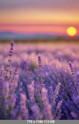 Amanda 29042026 - Amanda - Onlyfans SiteRip