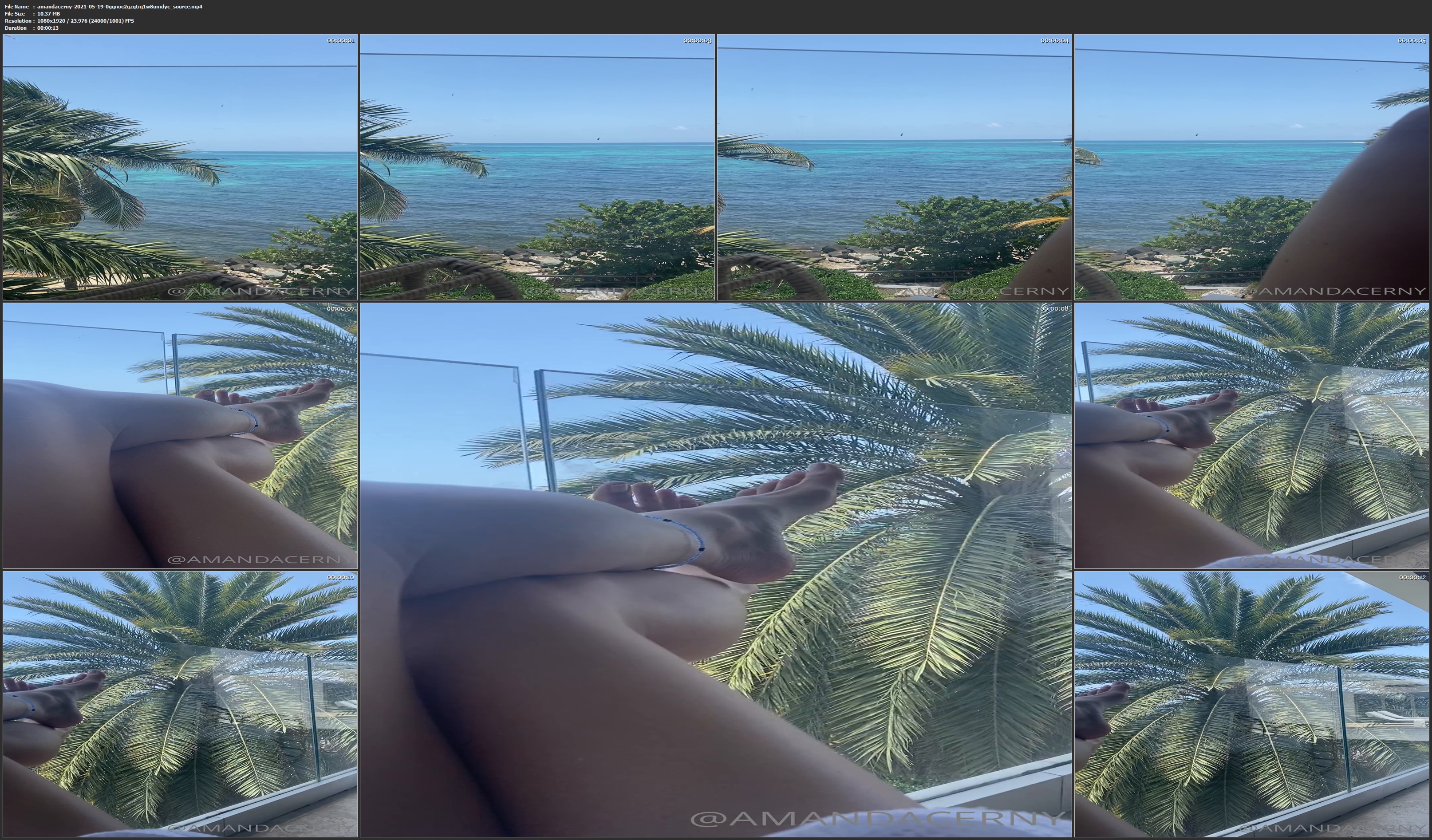 2021 12 08 0gx6uvj9zhukp8xc82kp8 source.mp4 thumbs - jpg pet